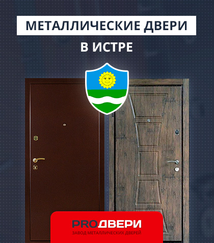 Металические двери в Истре