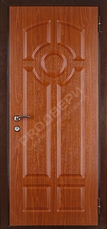 Фотография «Дверь трехконтурная №3»